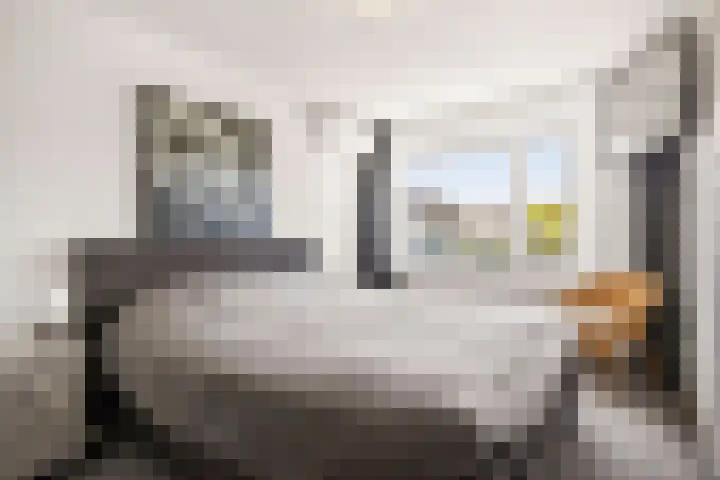 Linnaeuslaan 69 Veenendaal thumbnail 34