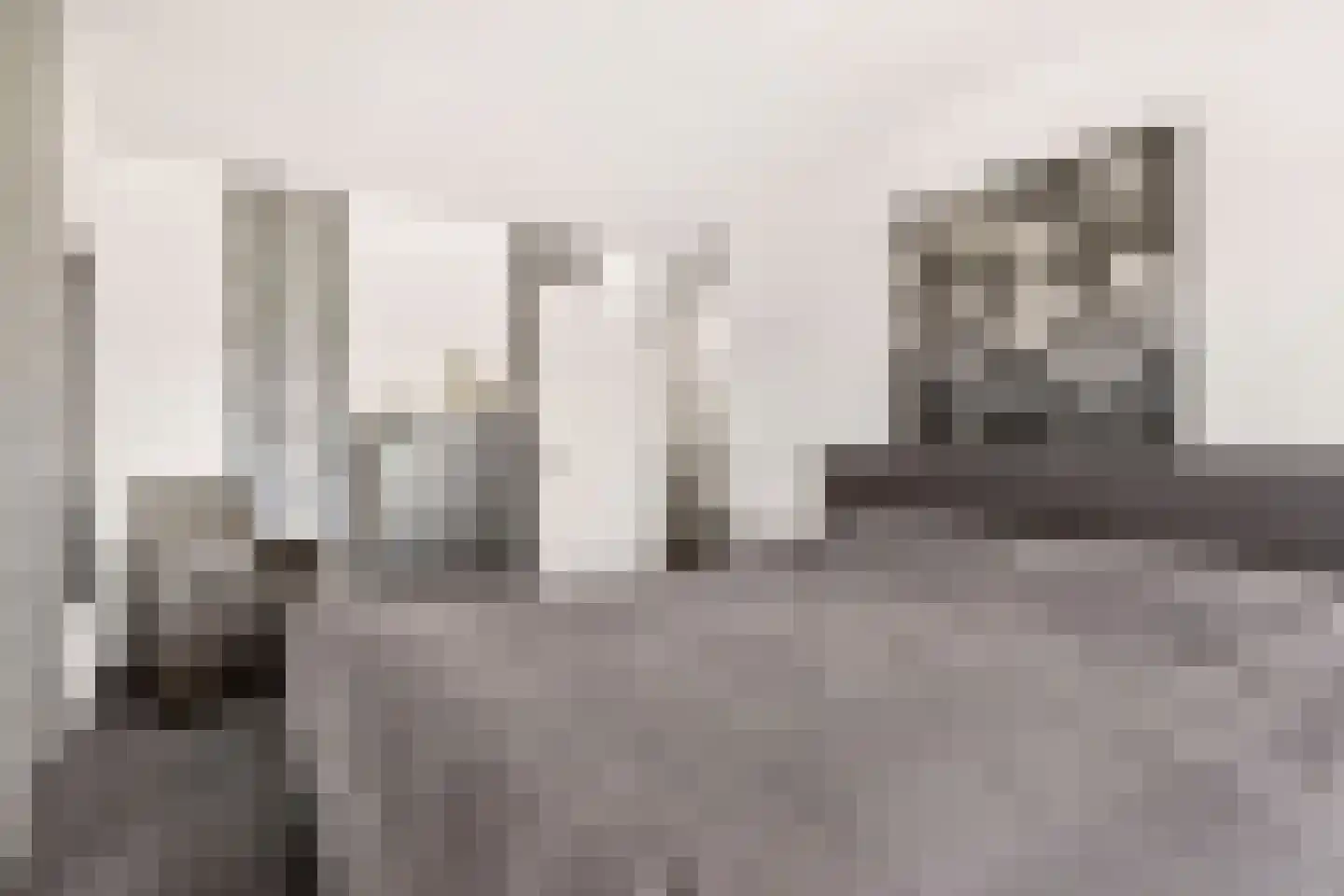 Linnaeuslaan 69 Veenendaal thumbnail 35
