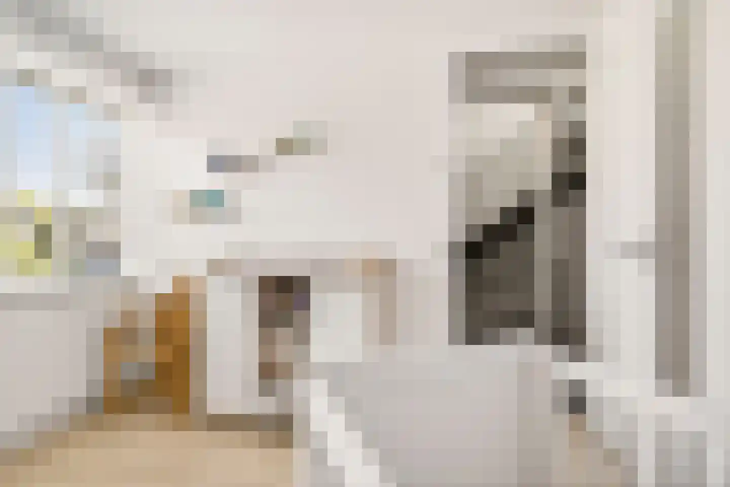 Linnaeuslaan 69 Veenendaal thumbnail 38