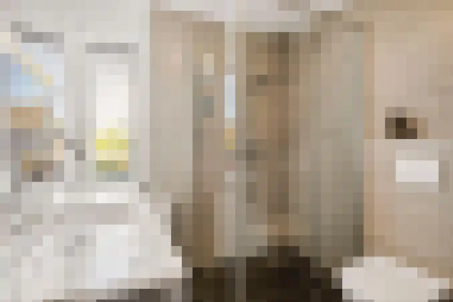 Linnaeuslaan 69 Veenendaal thumbnail 41