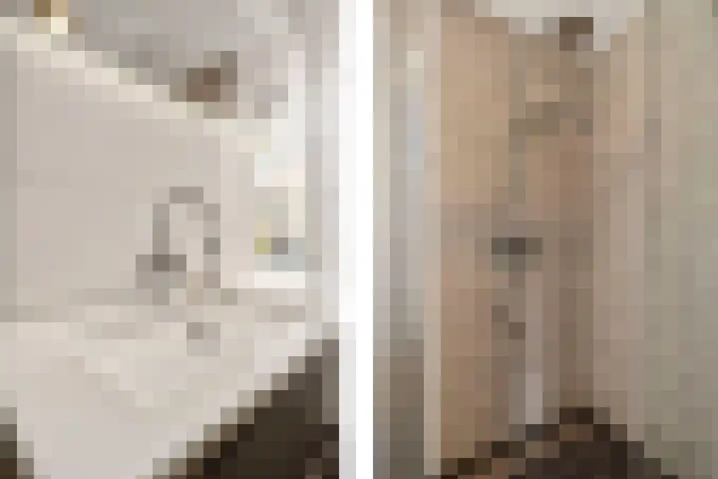 Linnaeuslaan 69 Veenendaal thumbnail 42