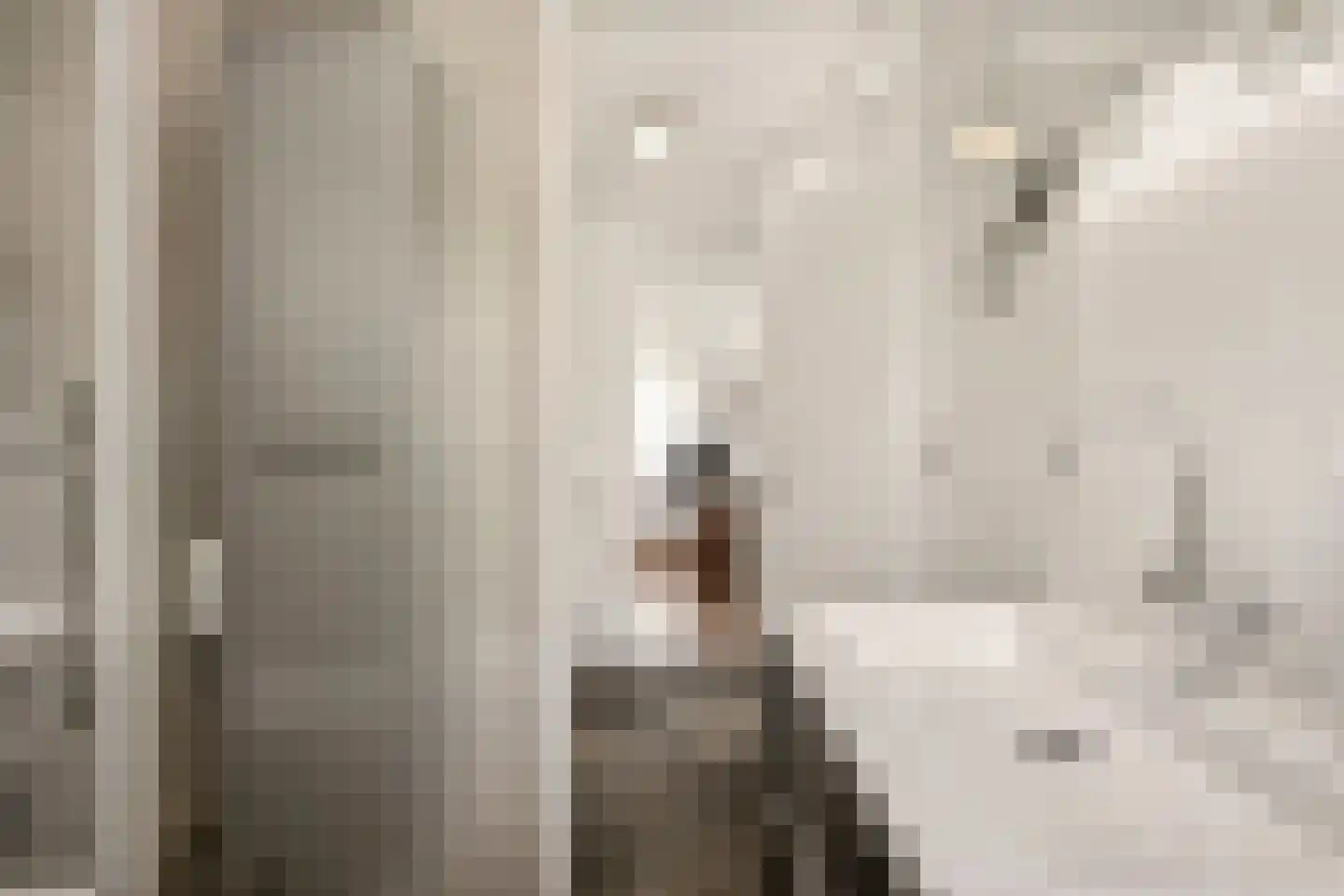 Linnaeuslaan 69 Veenendaal thumbnail 43