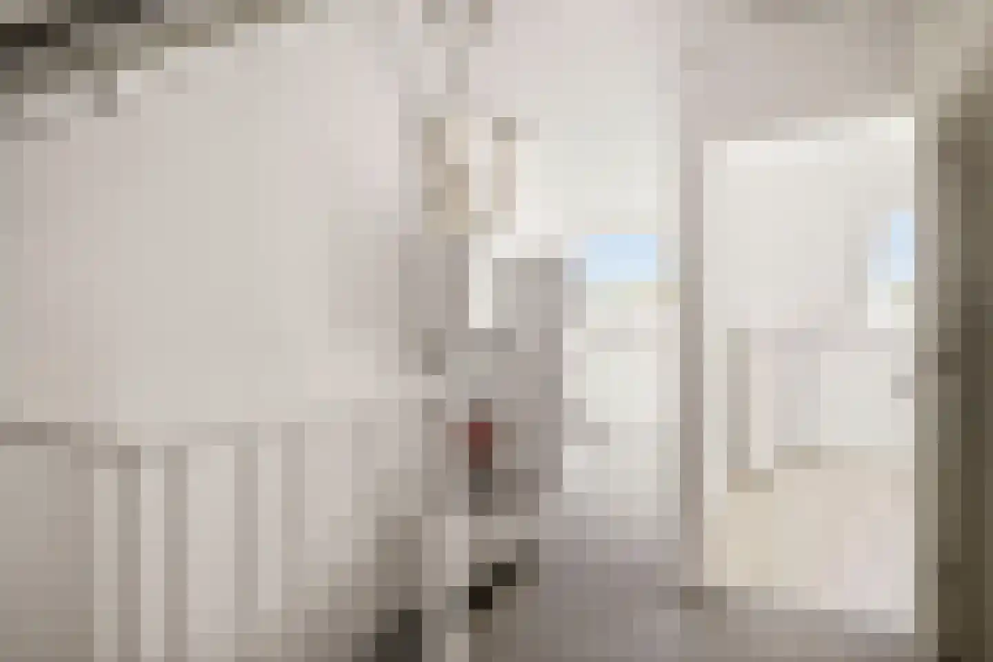 Linnaeuslaan 69 Veenendaal thumbnail 44