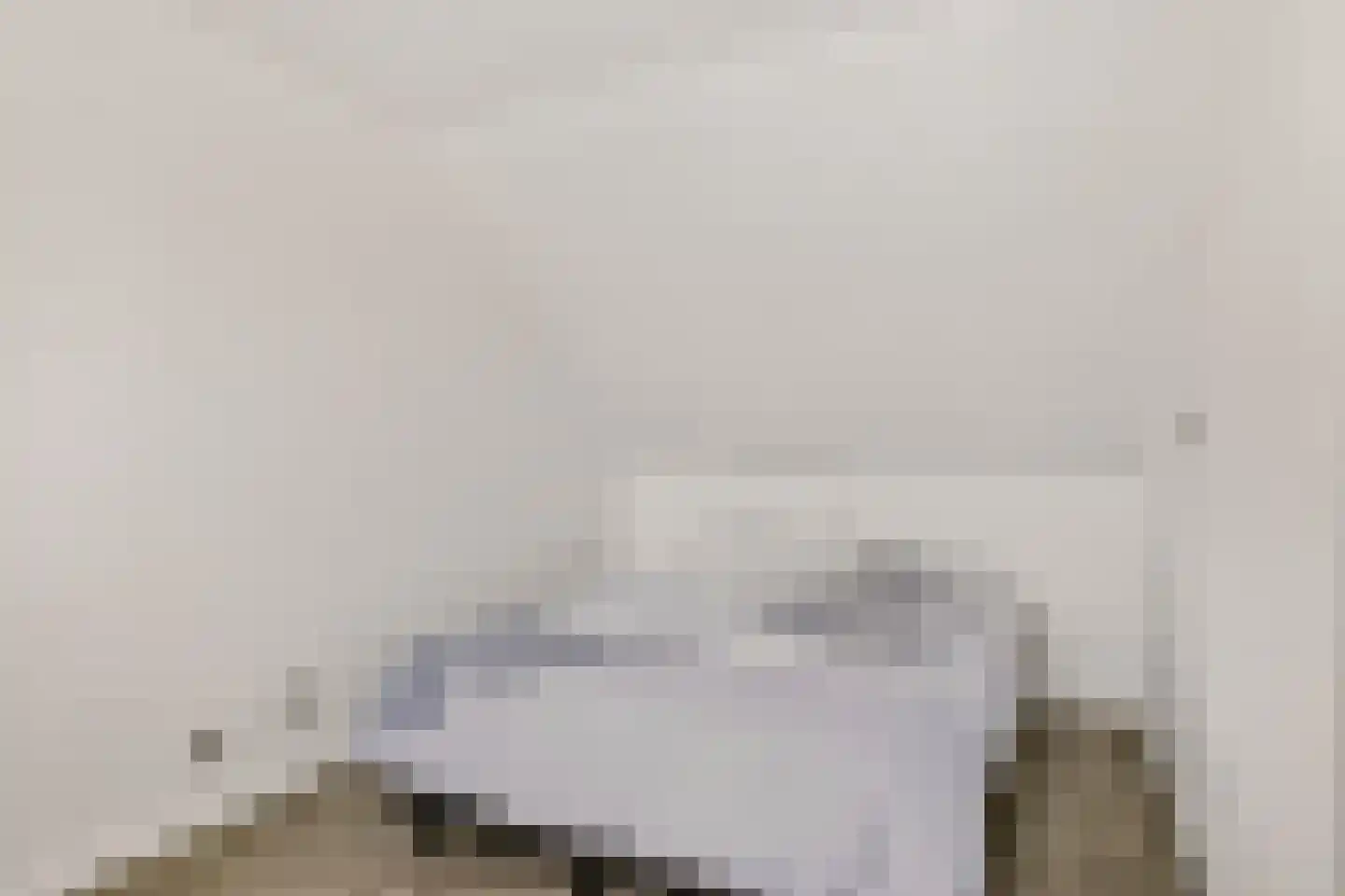 Linnaeuslaan 69 Veenendaal thumbnail 50