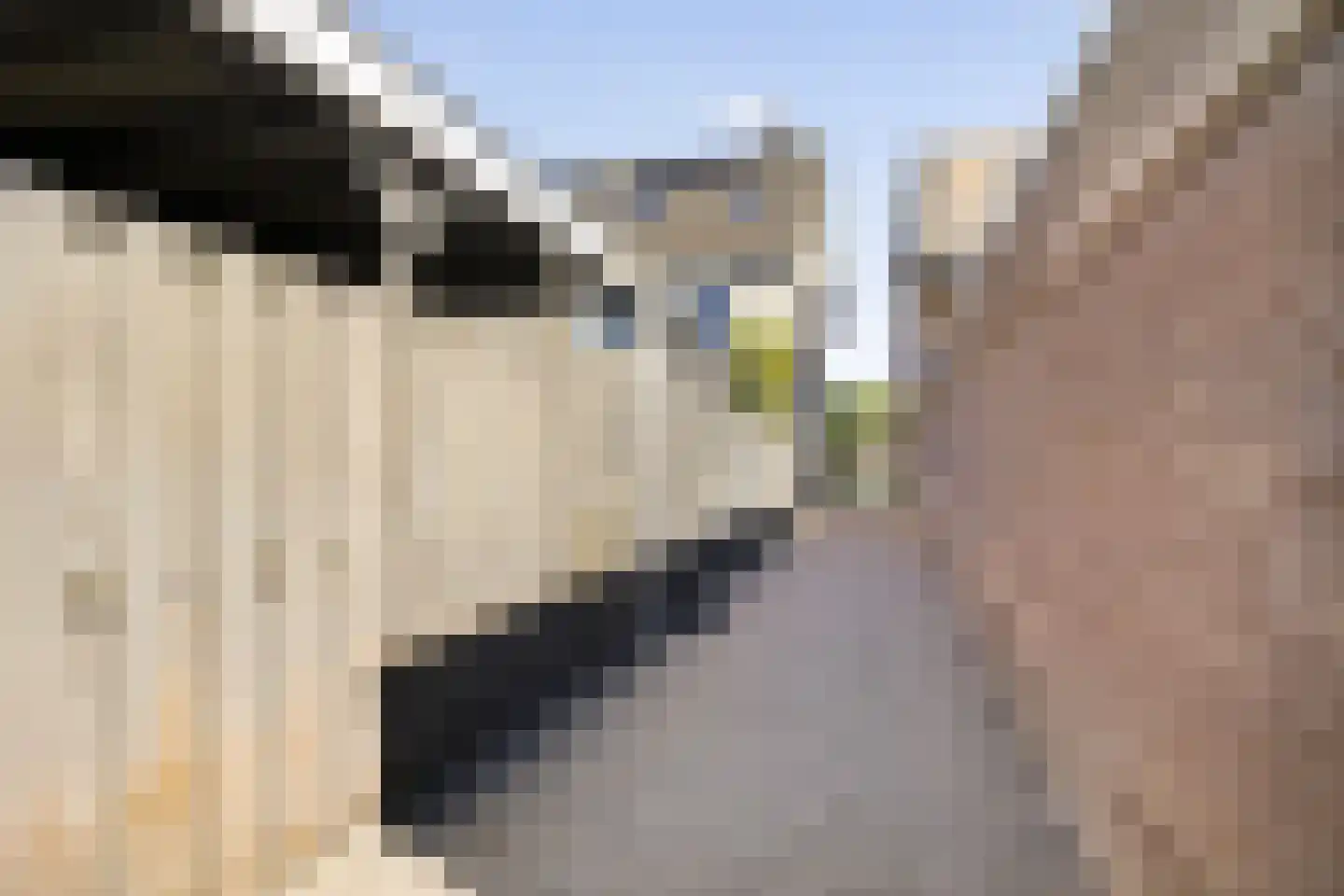 Linnaeuslaan 69 Veenendaal thumbnail 53