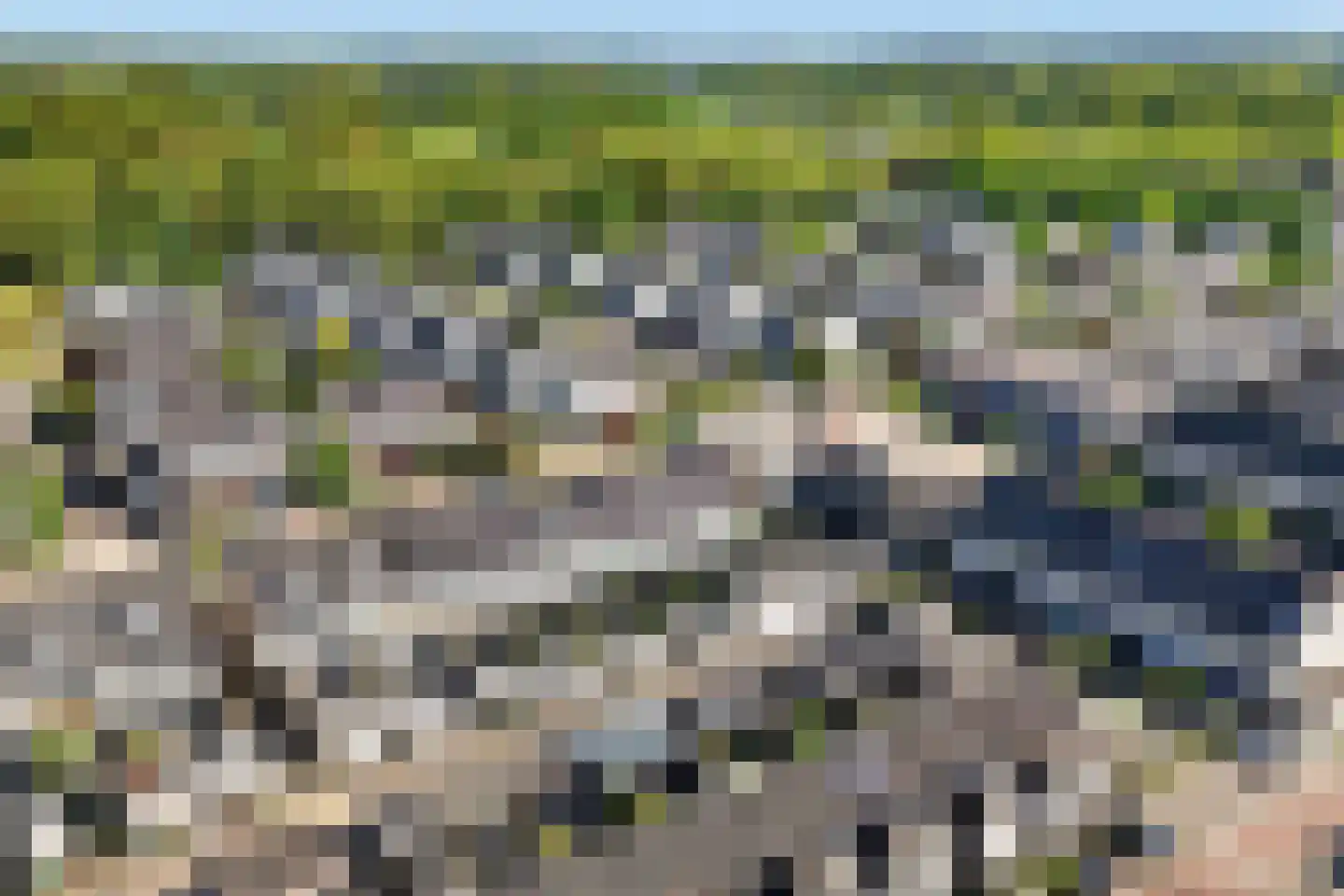 Linnaeuslaan 69 Veenendaal thumbnail 57