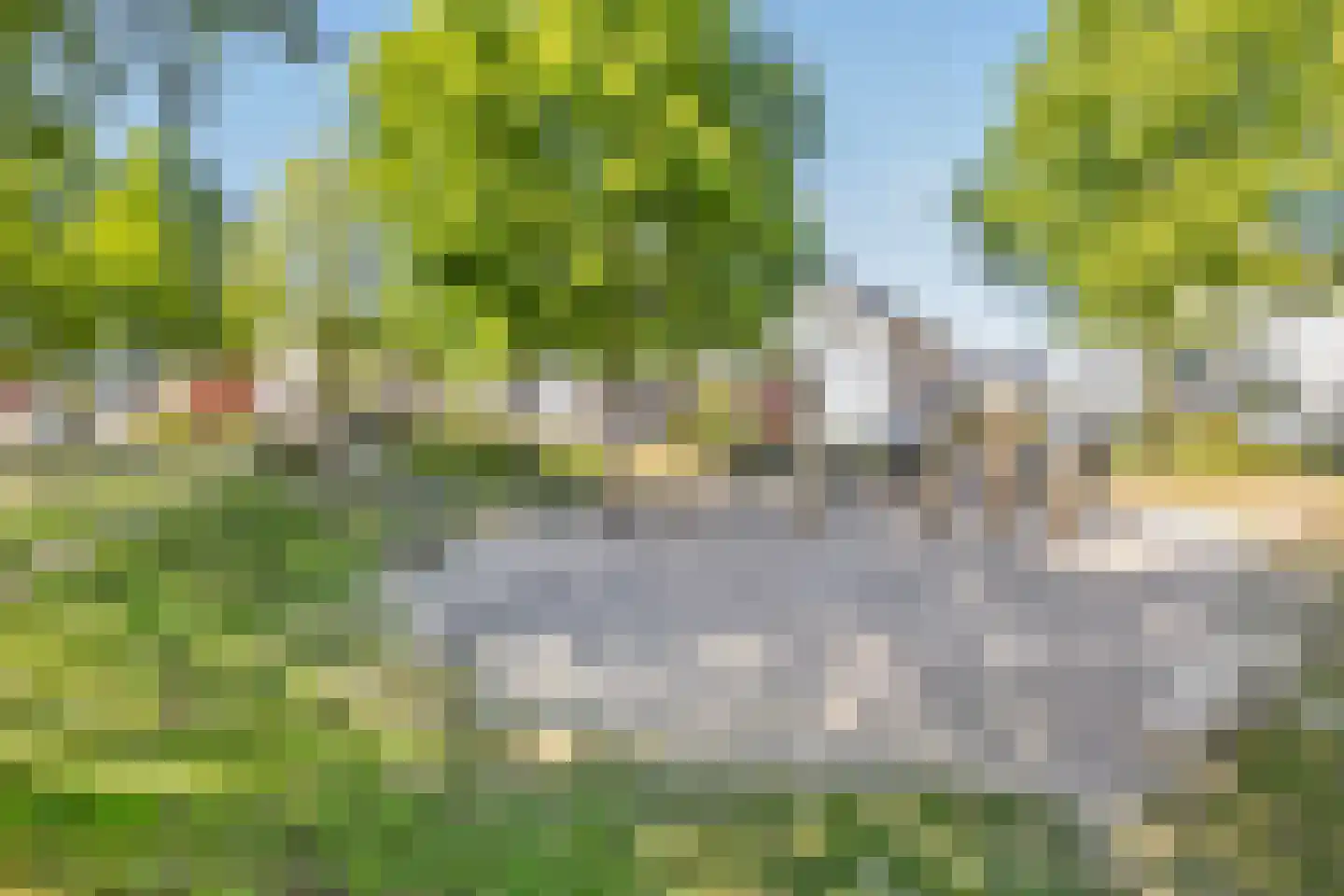 Linnaeuslaan 69 Veenendaal thumbnail 59