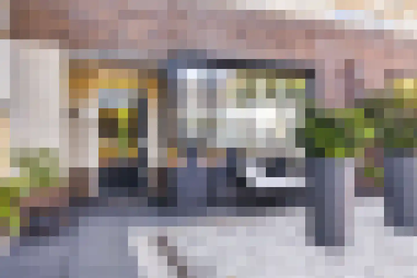 Linnaeuslaan 69 Veenendaal thumbnail 6