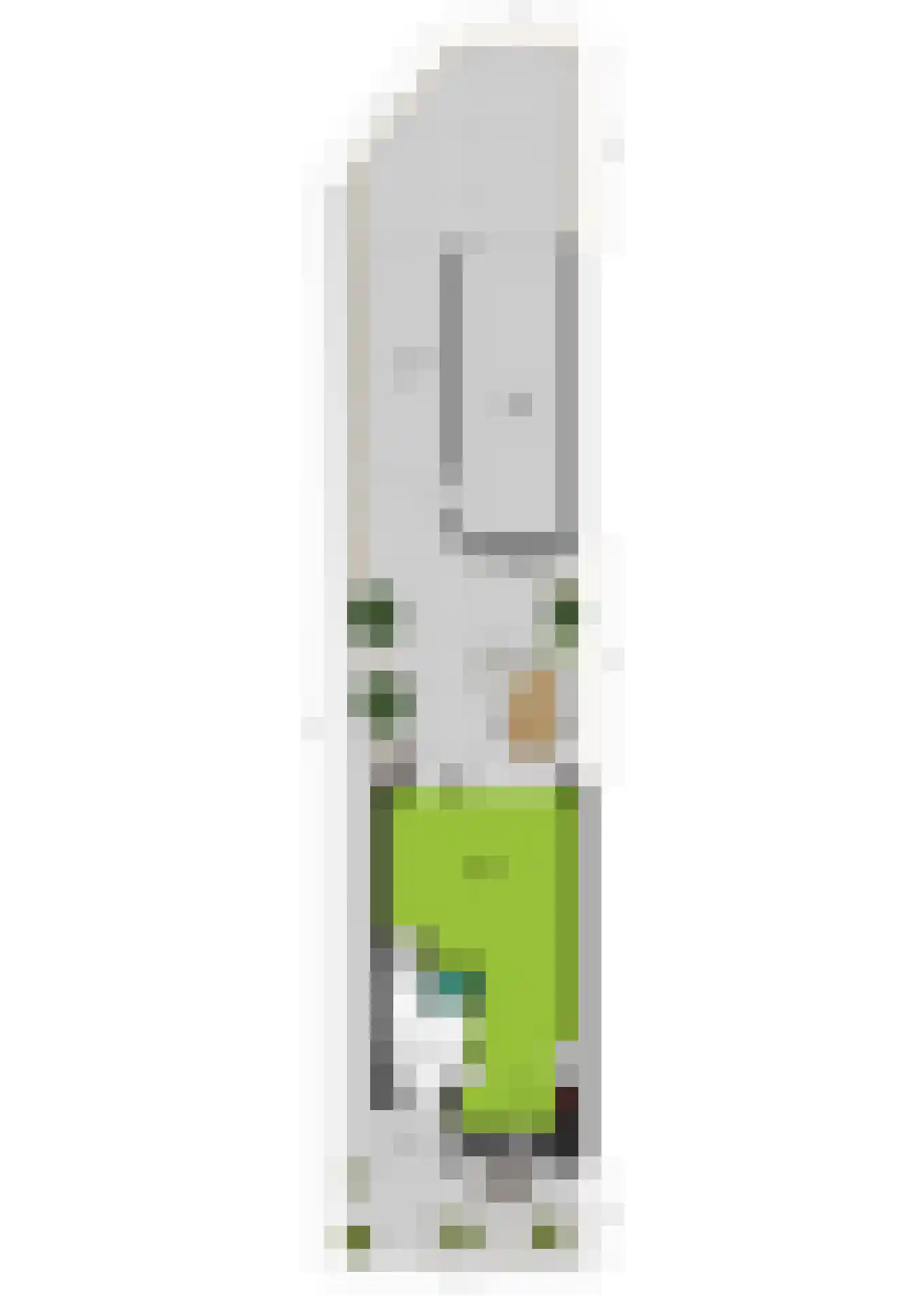Linnaeuslaan 69 Veenendaal thumbnail 65