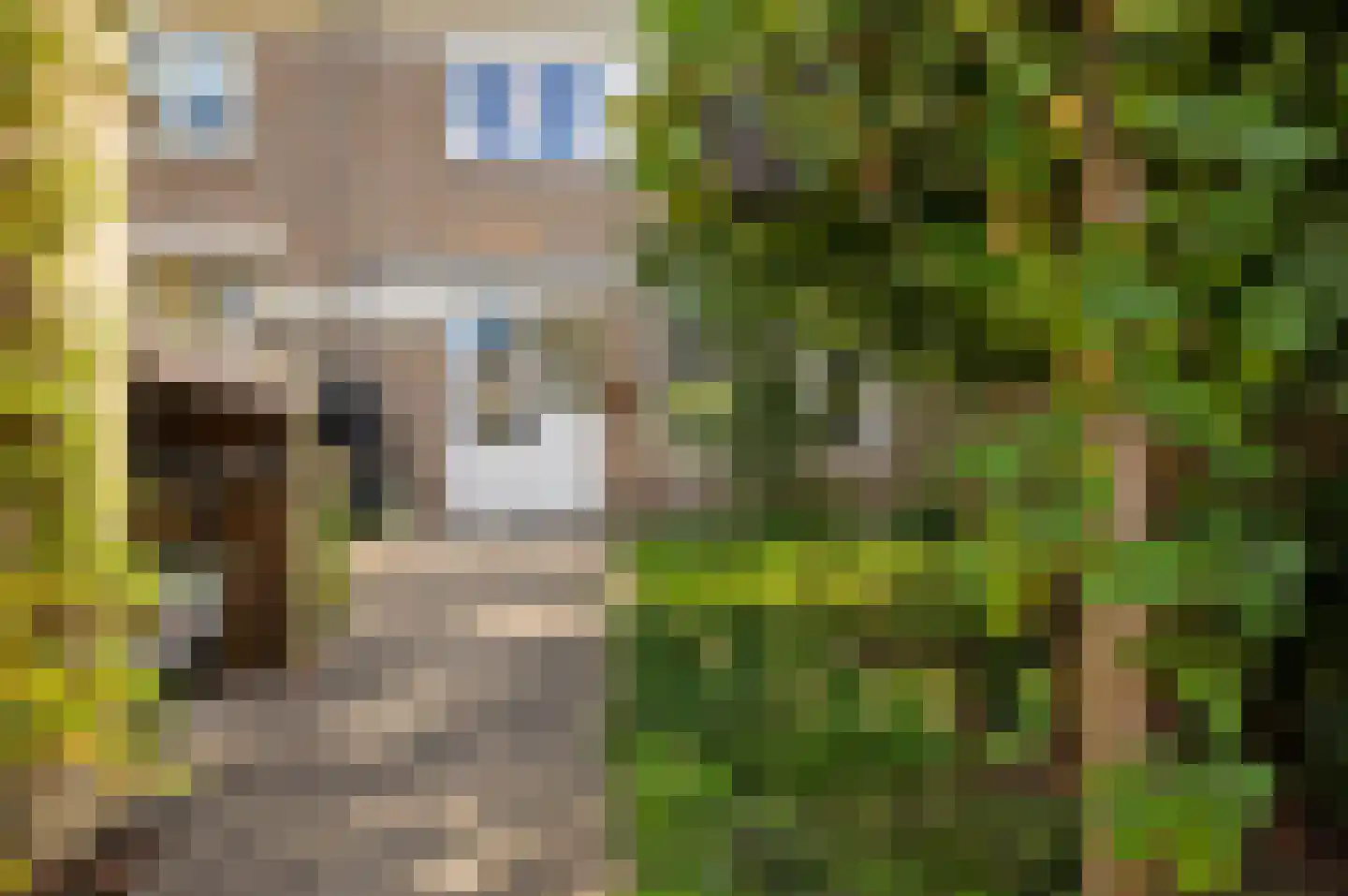 Linnaeuslaan 71 Culemborg thumbnail 16