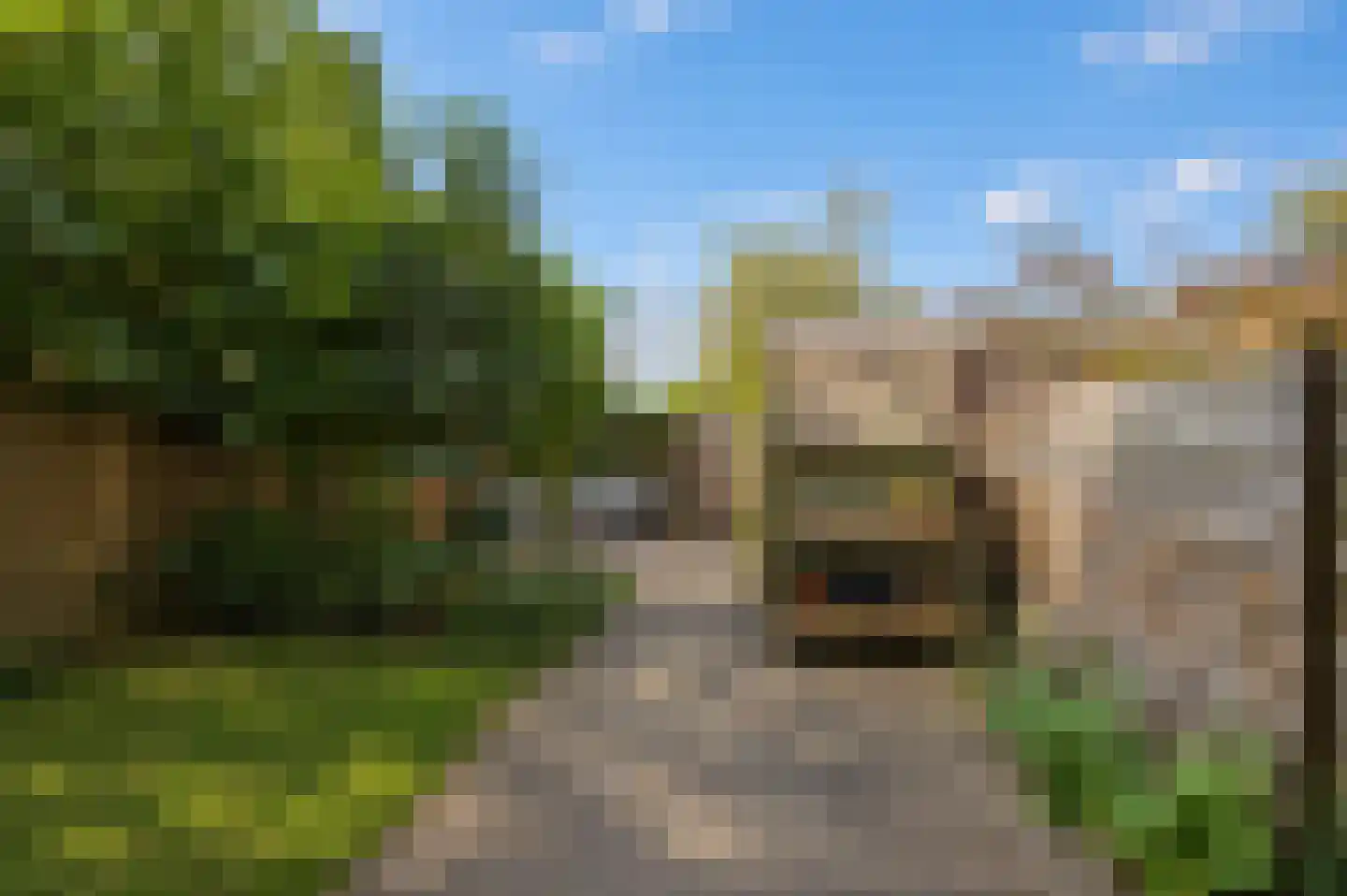 Linnaeuslaan 71 Culemborg thumbnail 18