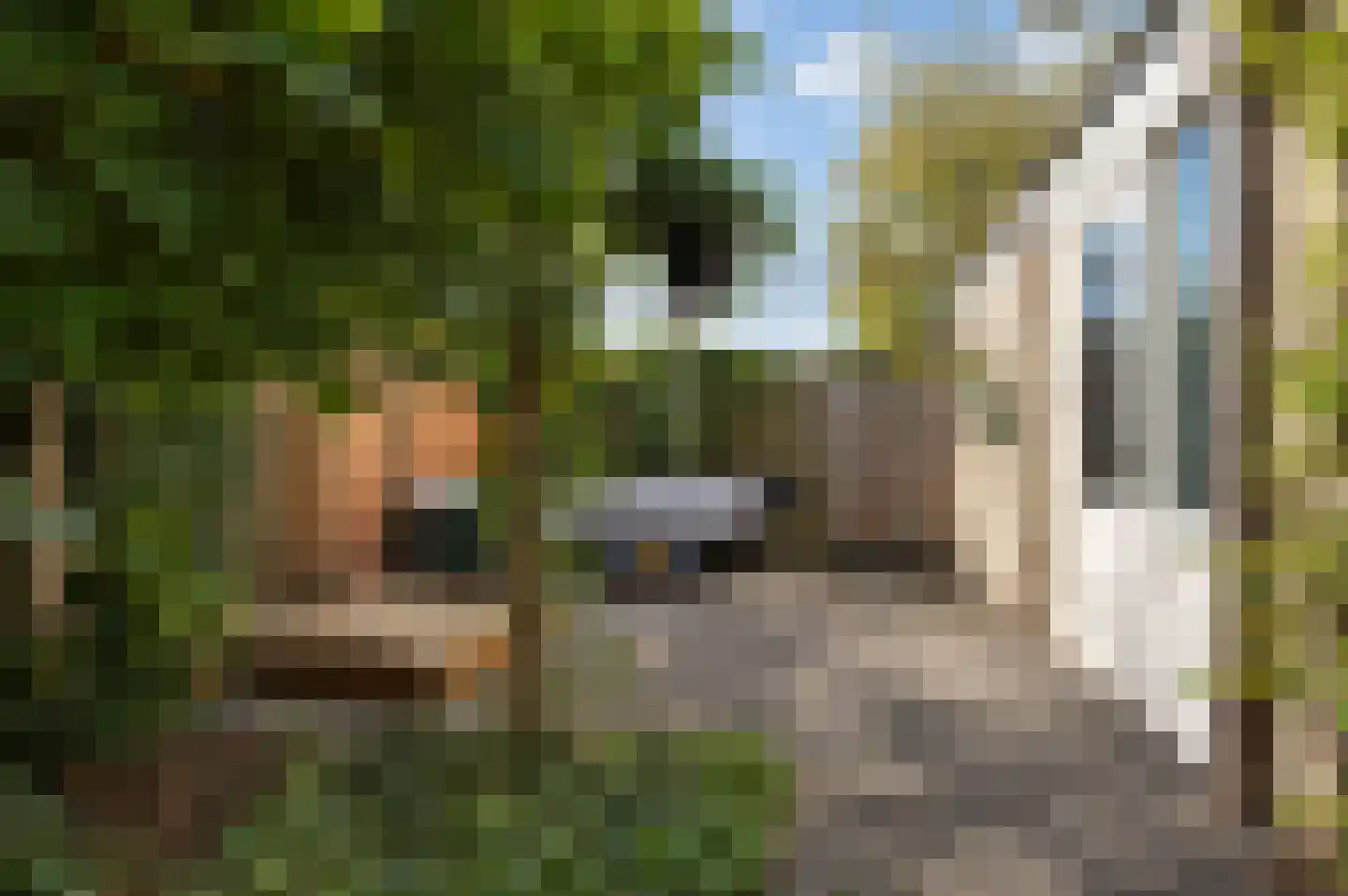 Linnaeuslaan 71 Culemborg thumbnail 19