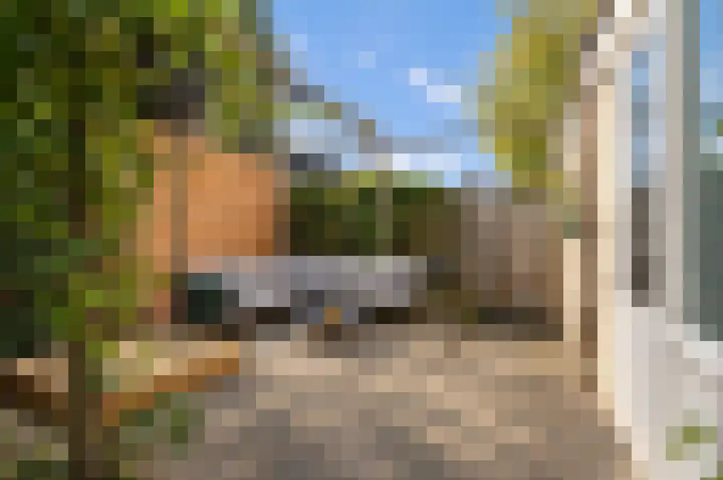 Linnaeuslaan 71 Culemborg thumbnail 20