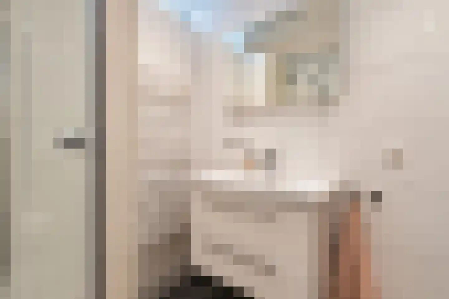 Linnaeuslaan 71 Culemborg thumbnail 32