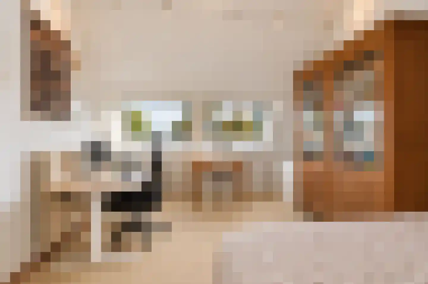 Linnaeuslaan 71 Culemborg thumbnail 34