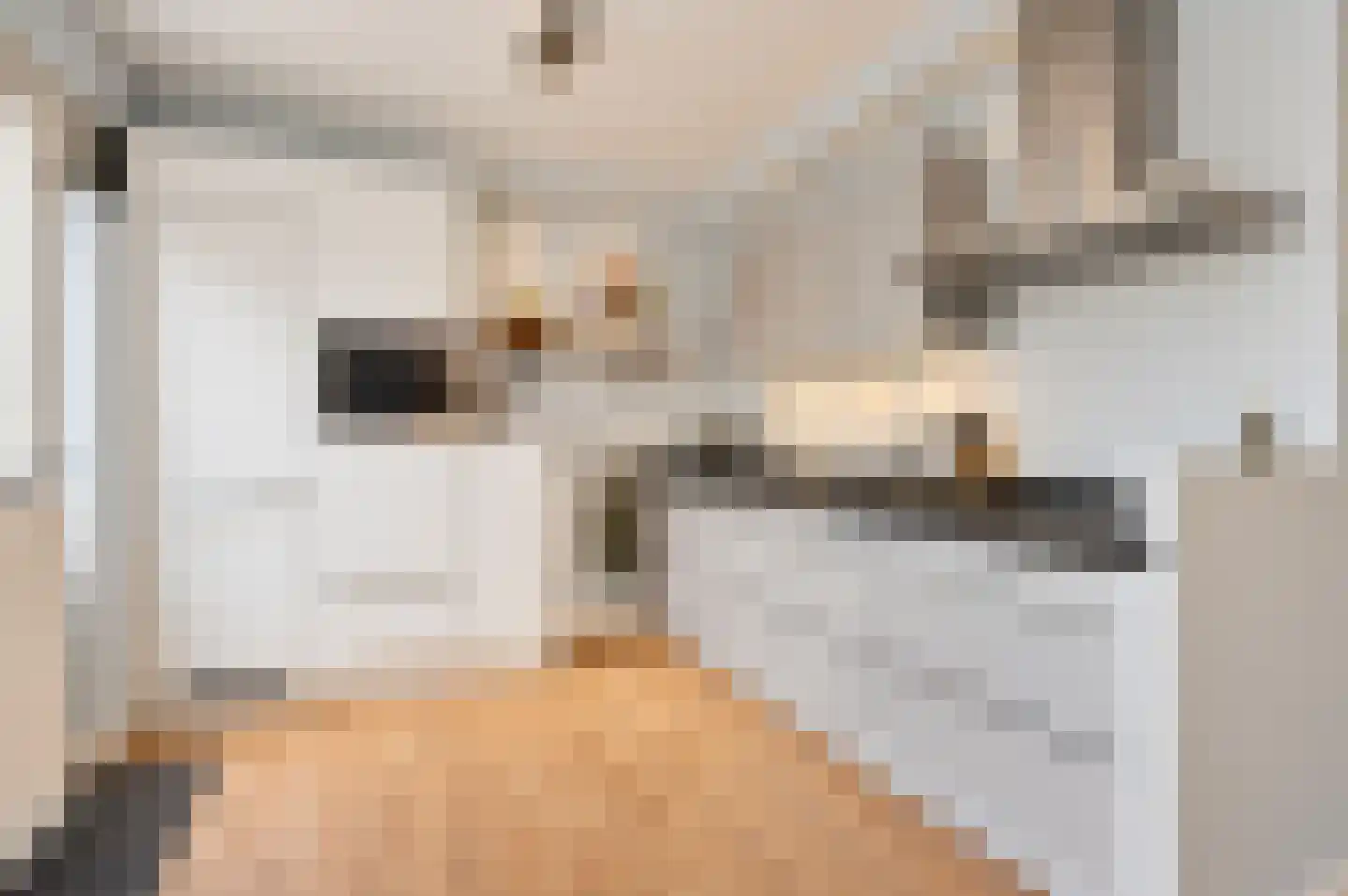 Linnaeuslaan 71 Culemborg thumbnail 5