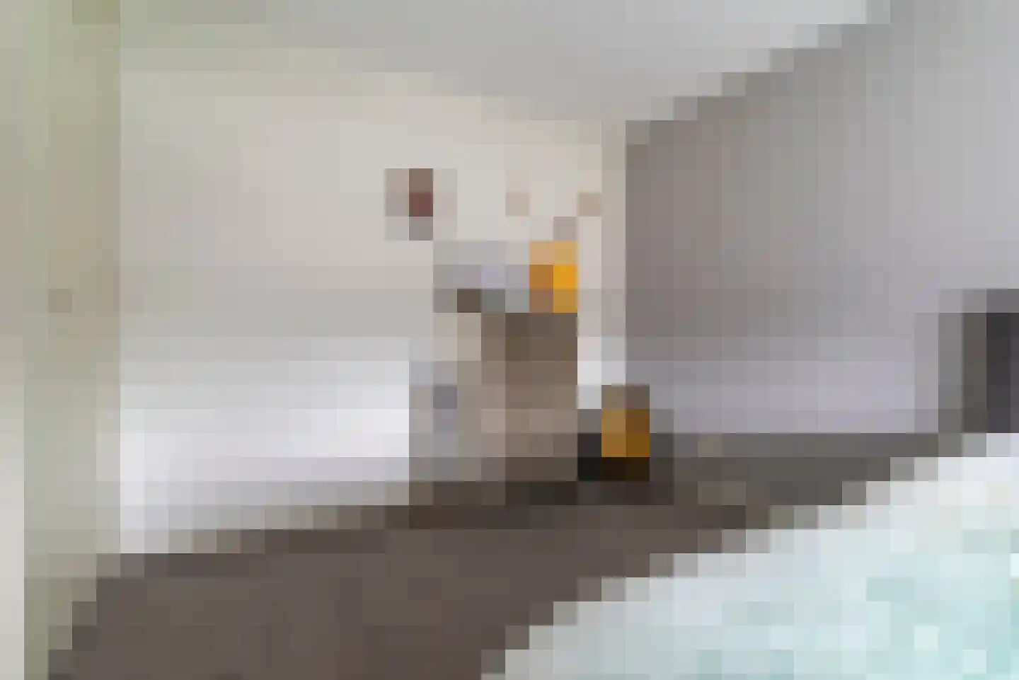 Linnaeuslaan 75 Veenendaal thumbnail 16