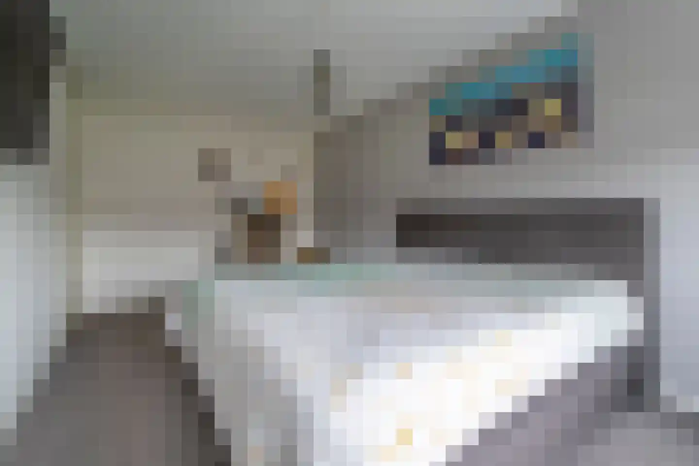Linnaeuslaan 75 Veenendaal thumbnail 17