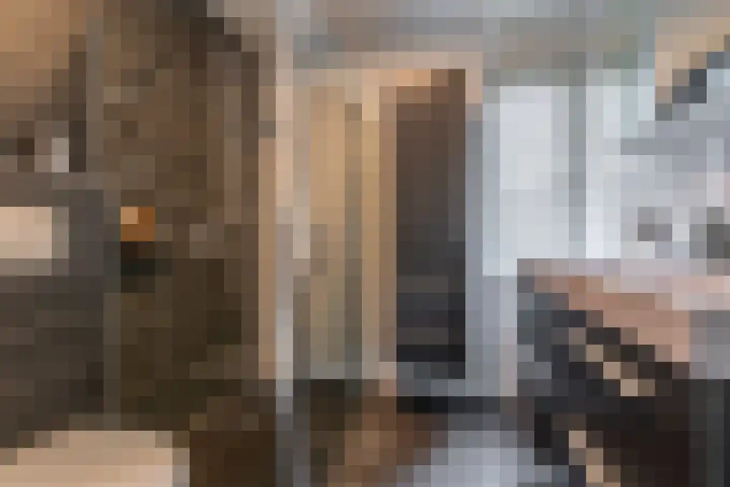 Linnaeuslaan 75 Veenendaal thumbnail 22