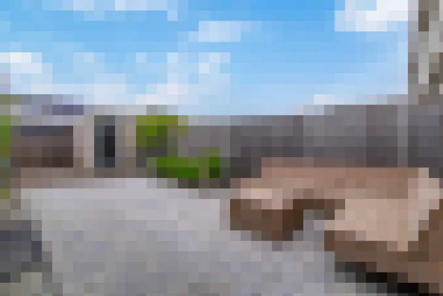 Linnaeuslaan 75 Veenendaal thumbnail 31