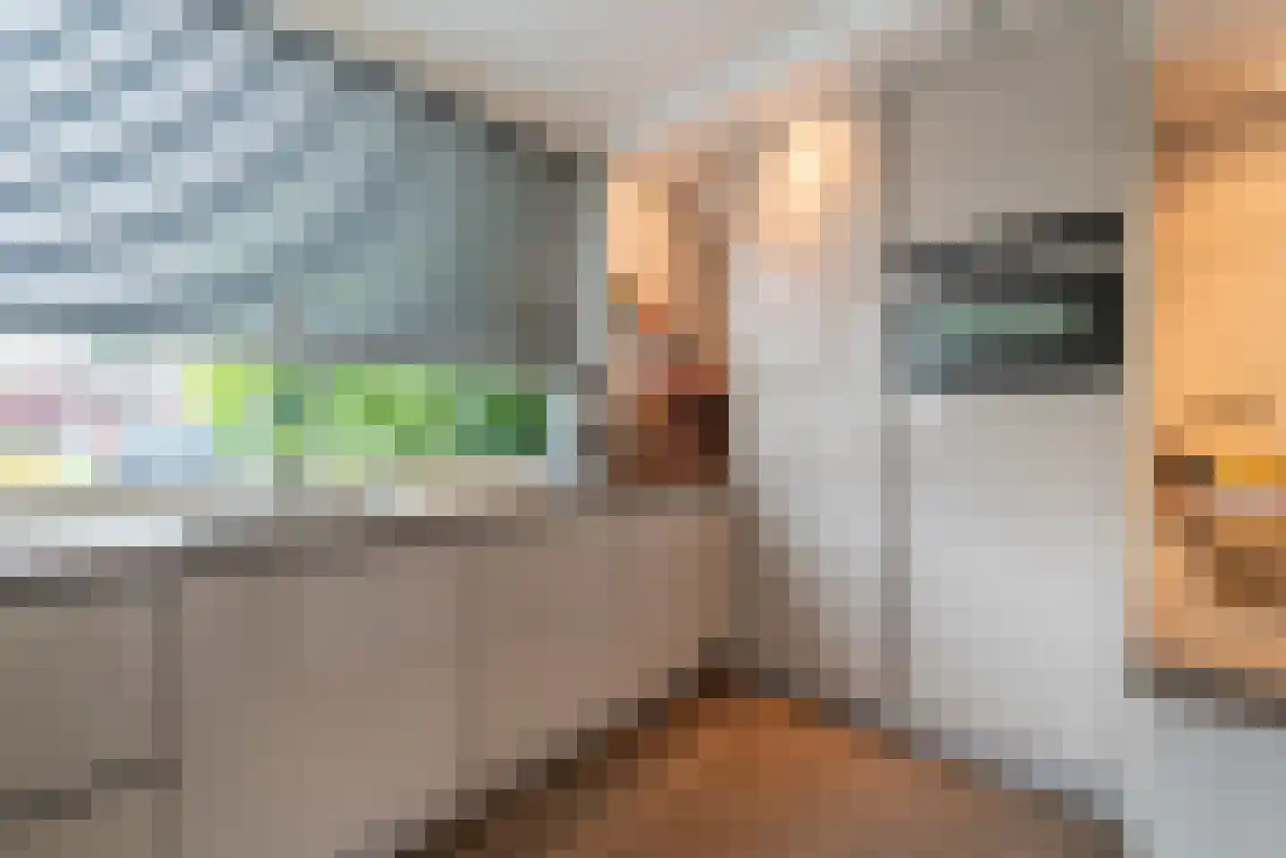 Linnaeuslaan 75 Veenendaal thumbnail 6