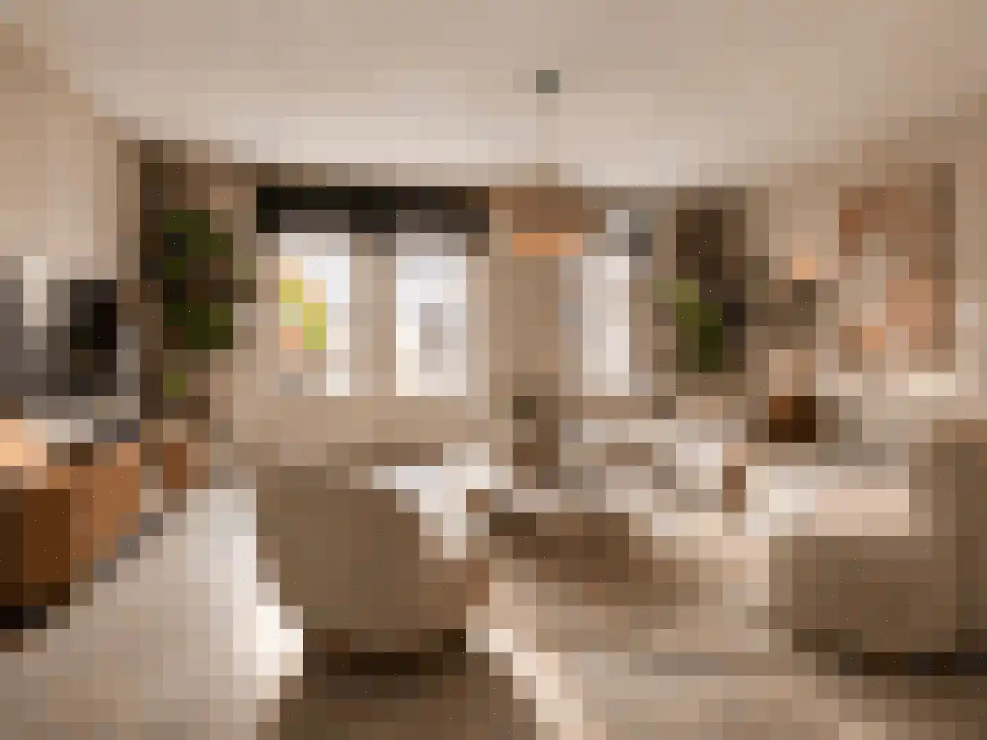Linnaeuslaan 75 Veenendaal thumbnail 7