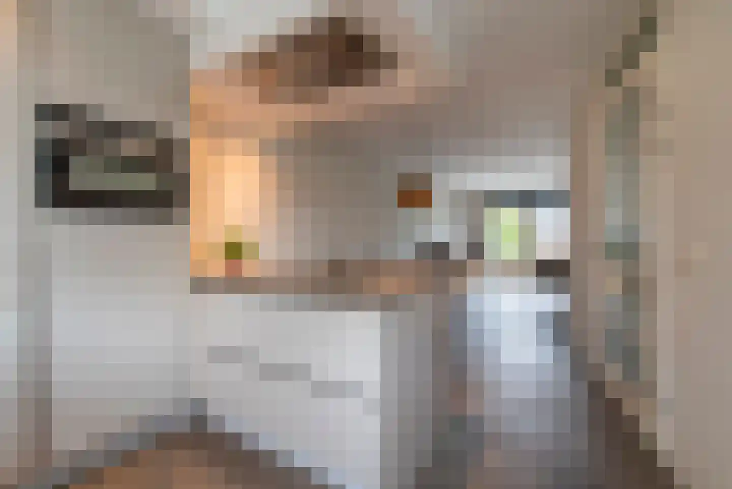Linnaeuslaan 75 Veenendaal thumbnail 9