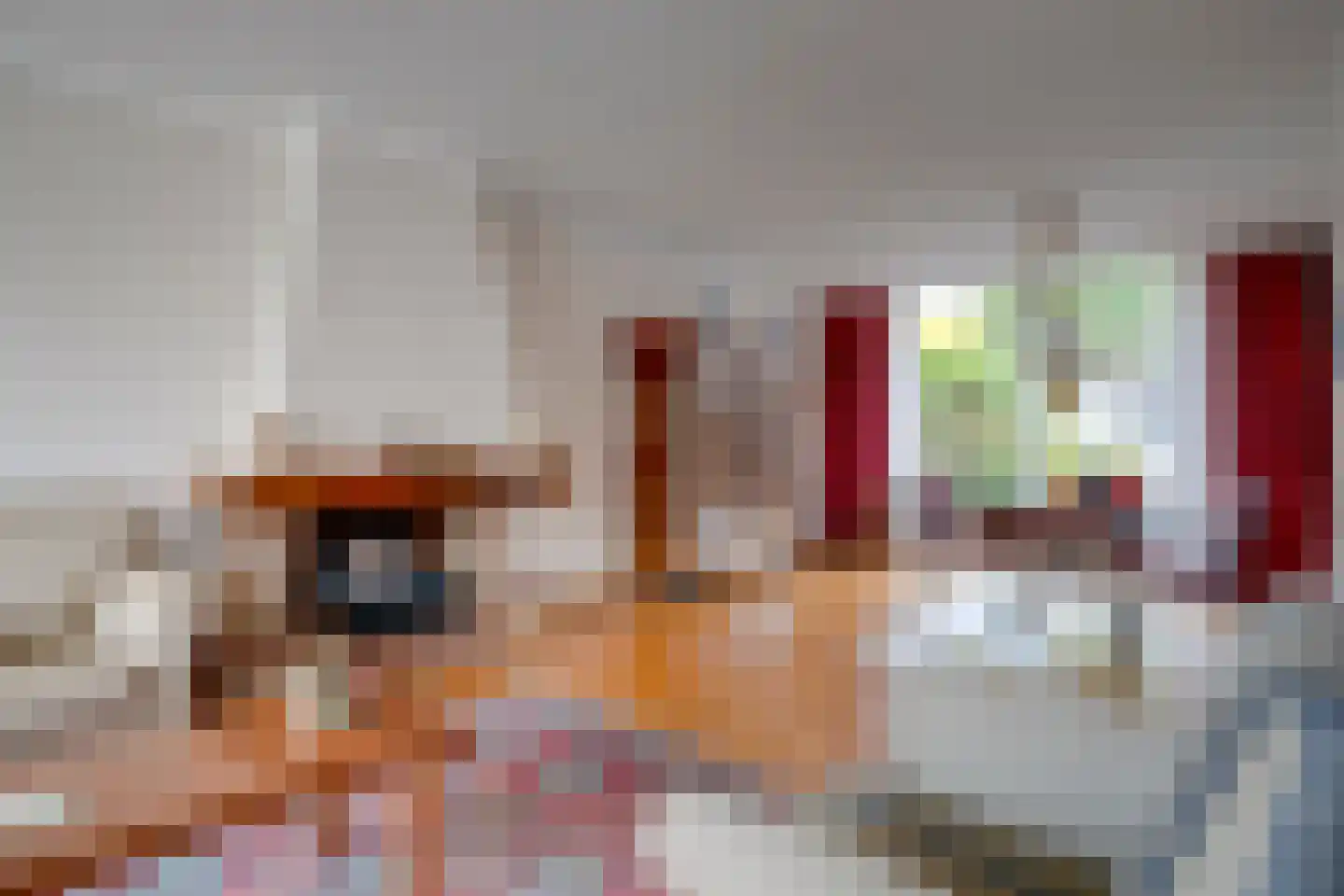 Linnaeuslaan 8 Utrecht thumbnail 16