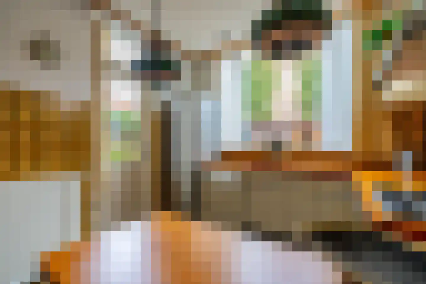 Linnaeuslaan 8 Utrecht thumbnail 21