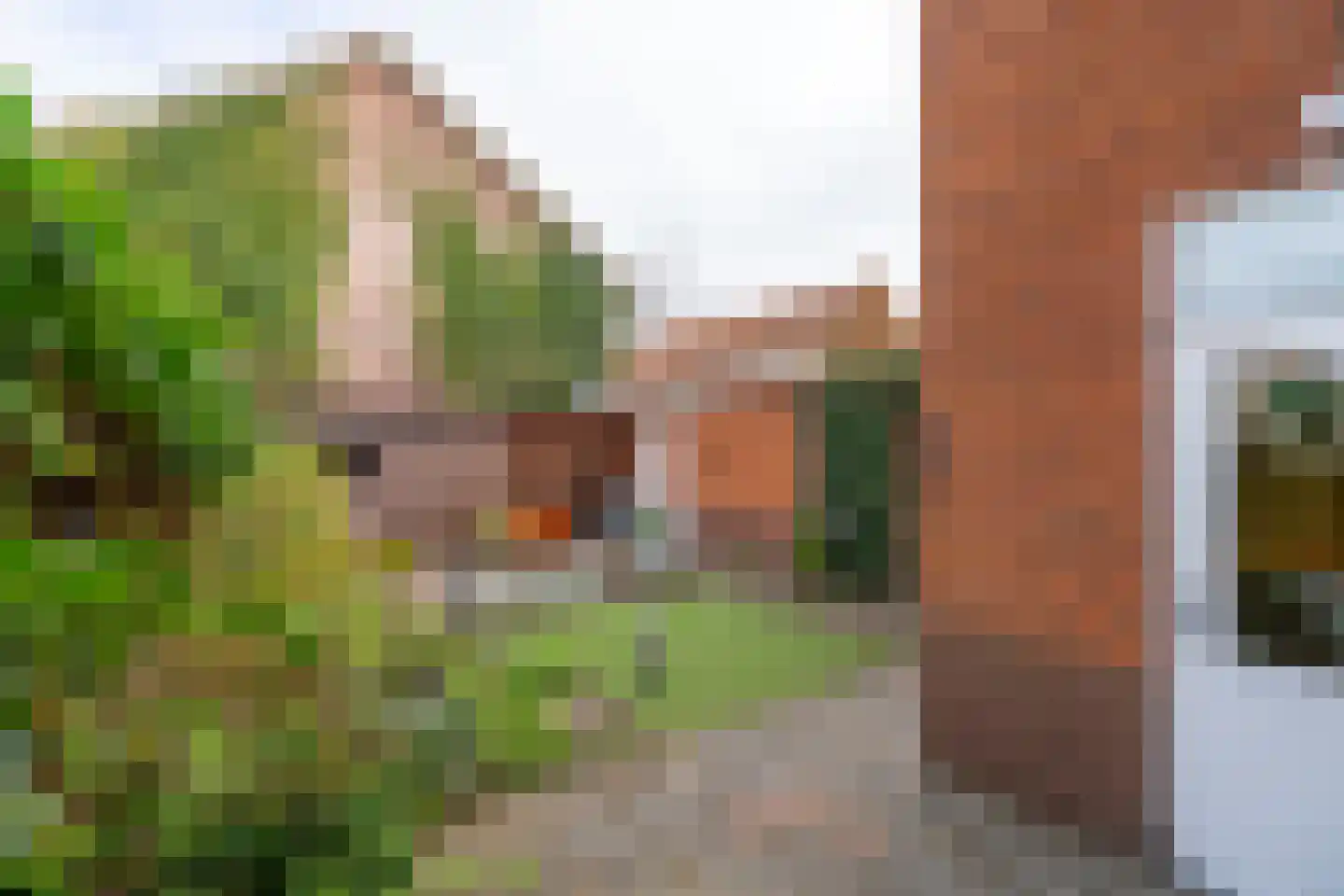 Linnaeuslaan 8 Utrecht thumbnail 22