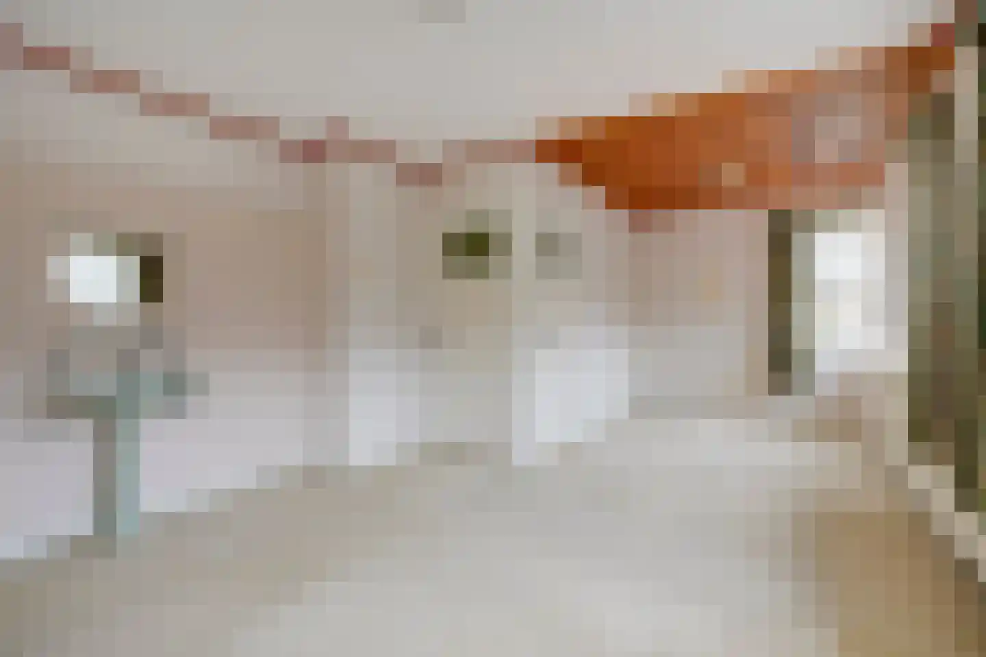 Linnaeuslaan 8 Utrecht thumbnail 29