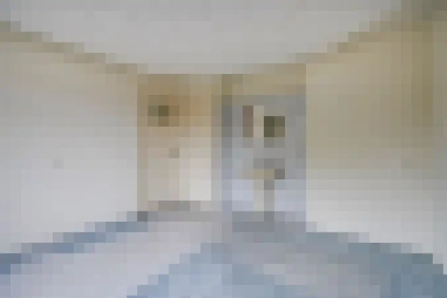 Linnaeuslaan 8 Utrecht thumbnail 33