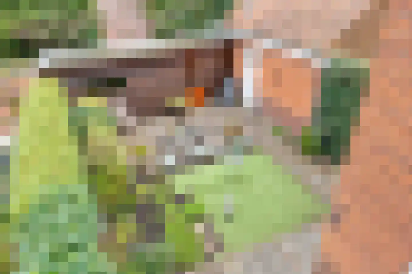 Linnaeuslaan 8 Utrecht thumbnail 36