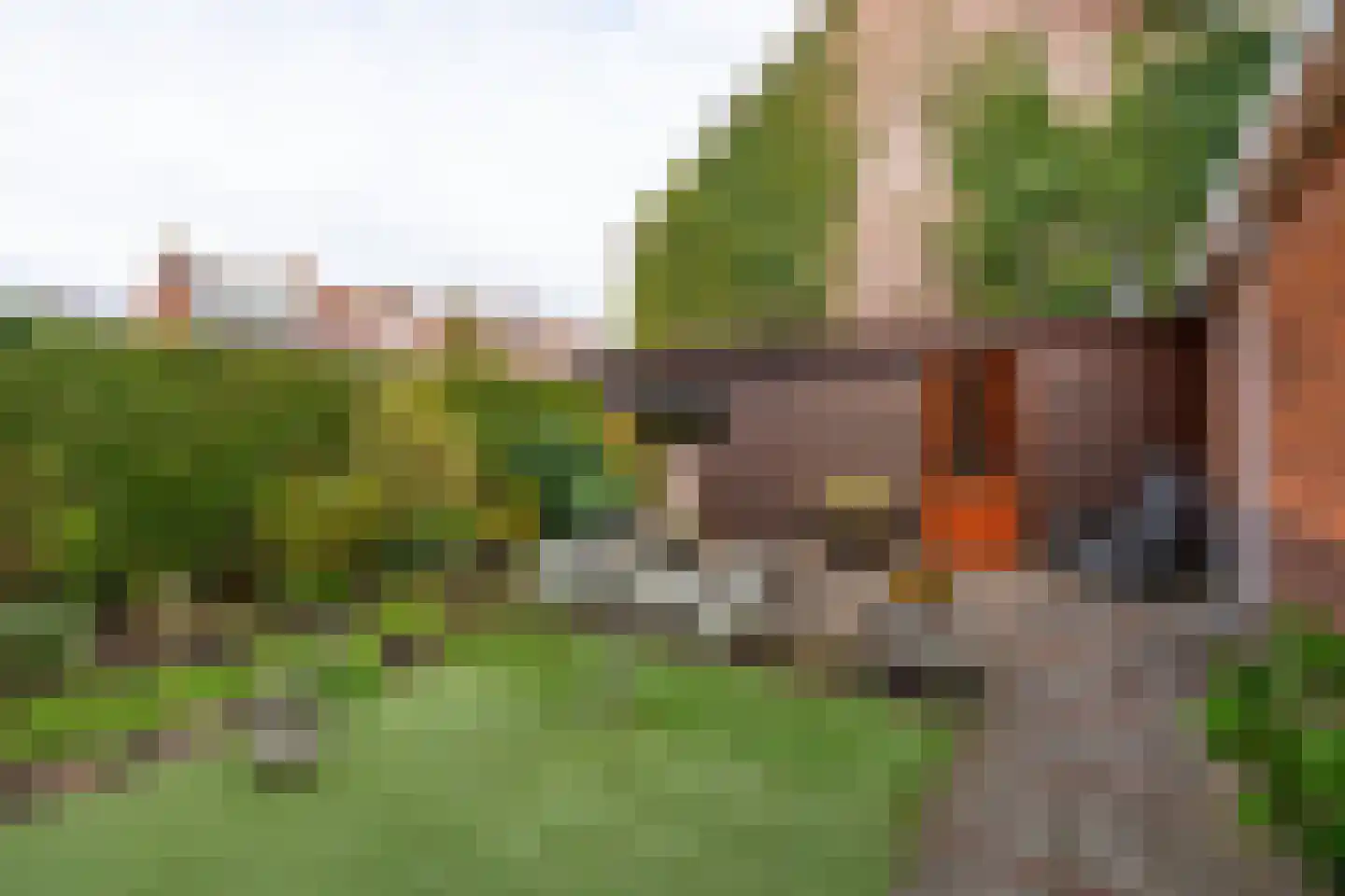 Linnaeuslaan 8 Utrecht thumbnail 4