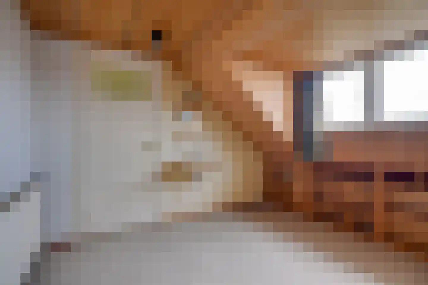 Linnaeuslaan 8 Utrecht thumbnail 49