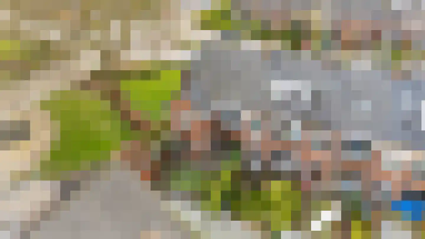 Linnaeuslaan 8 Utrecht thumbnail 54