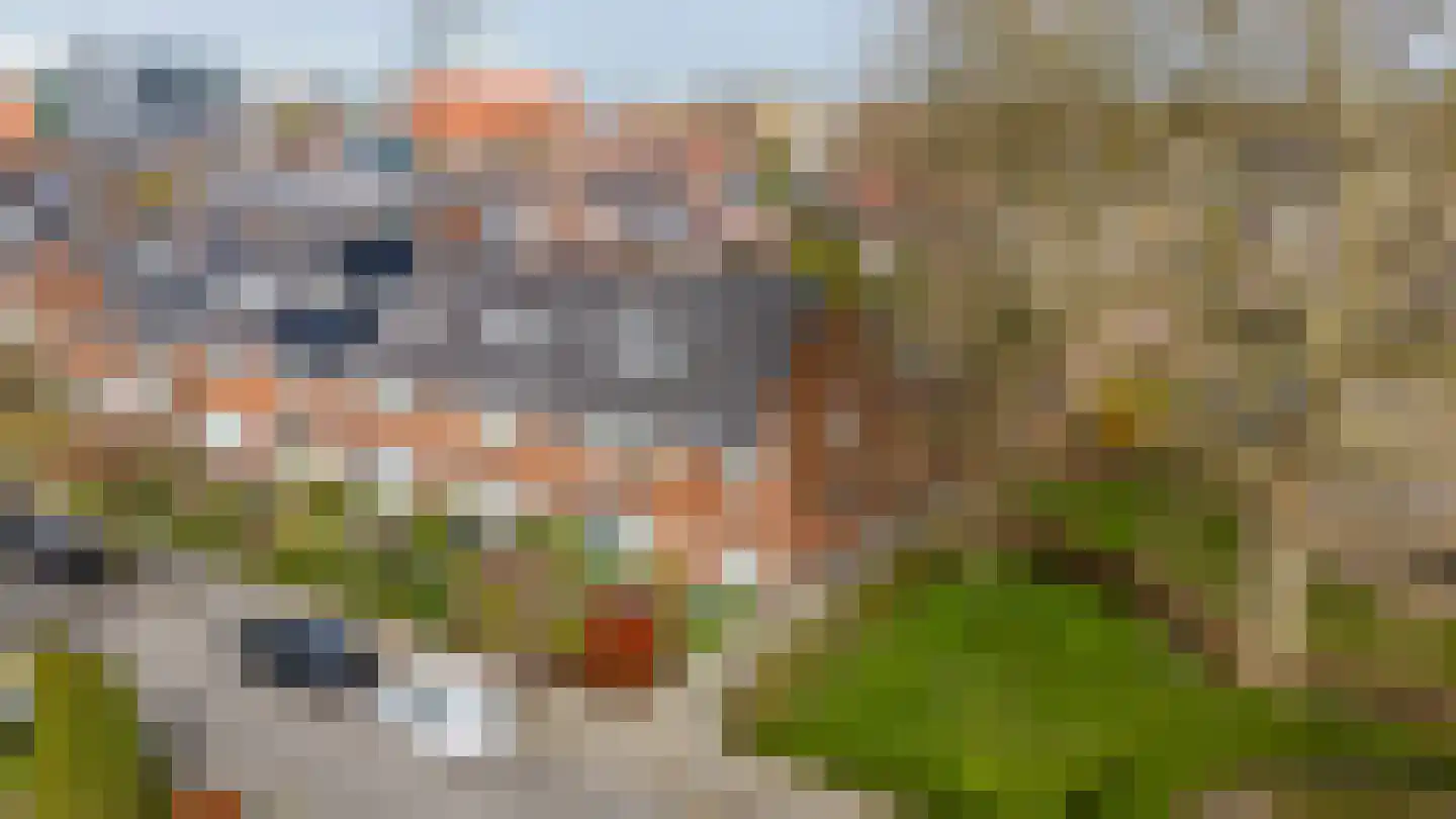 Linnaeuslaan 8 Utrecht thumbnail 55