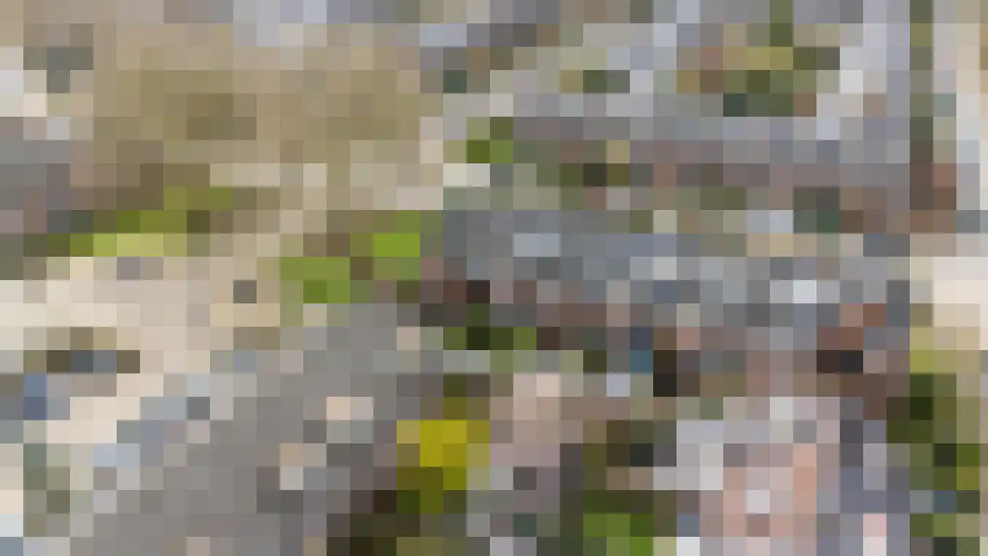 Linnaeuslaan 8 Utrecht thumbnail 58