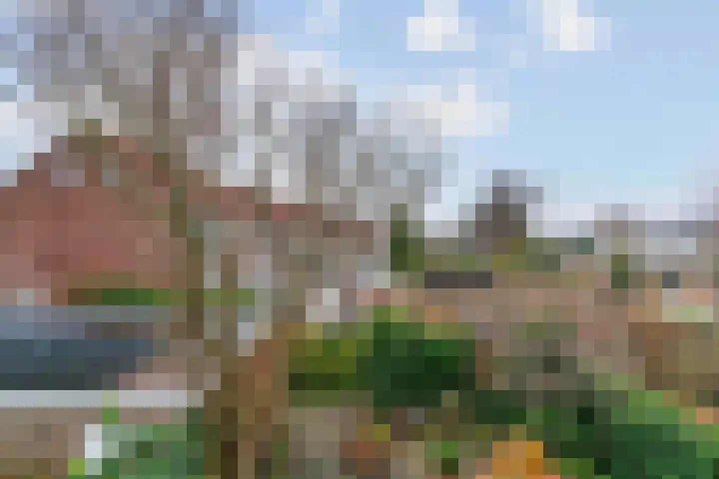 Linnaeuslaan 86 Aalsmeer thumbnail 23