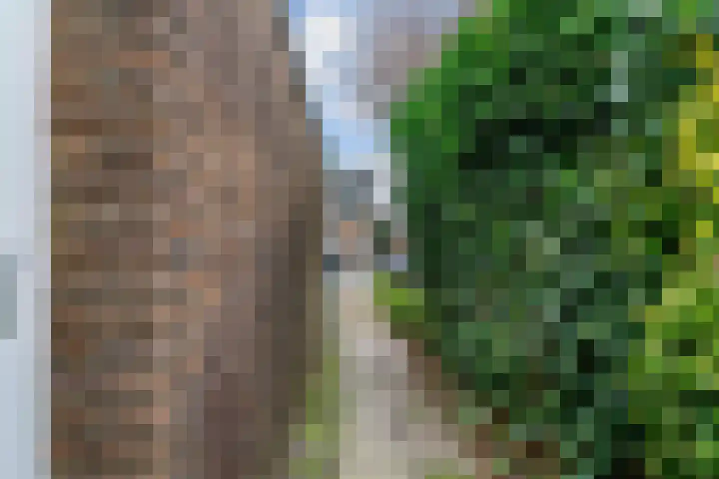 Linnaeuslaan 86 Aalsmeer thumbnail 29