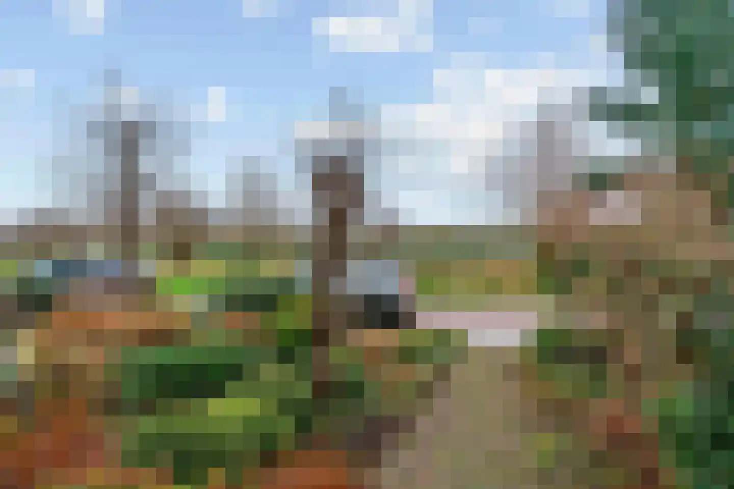 Linnaeuslaan 86 Aalsmeer thumbnail 33