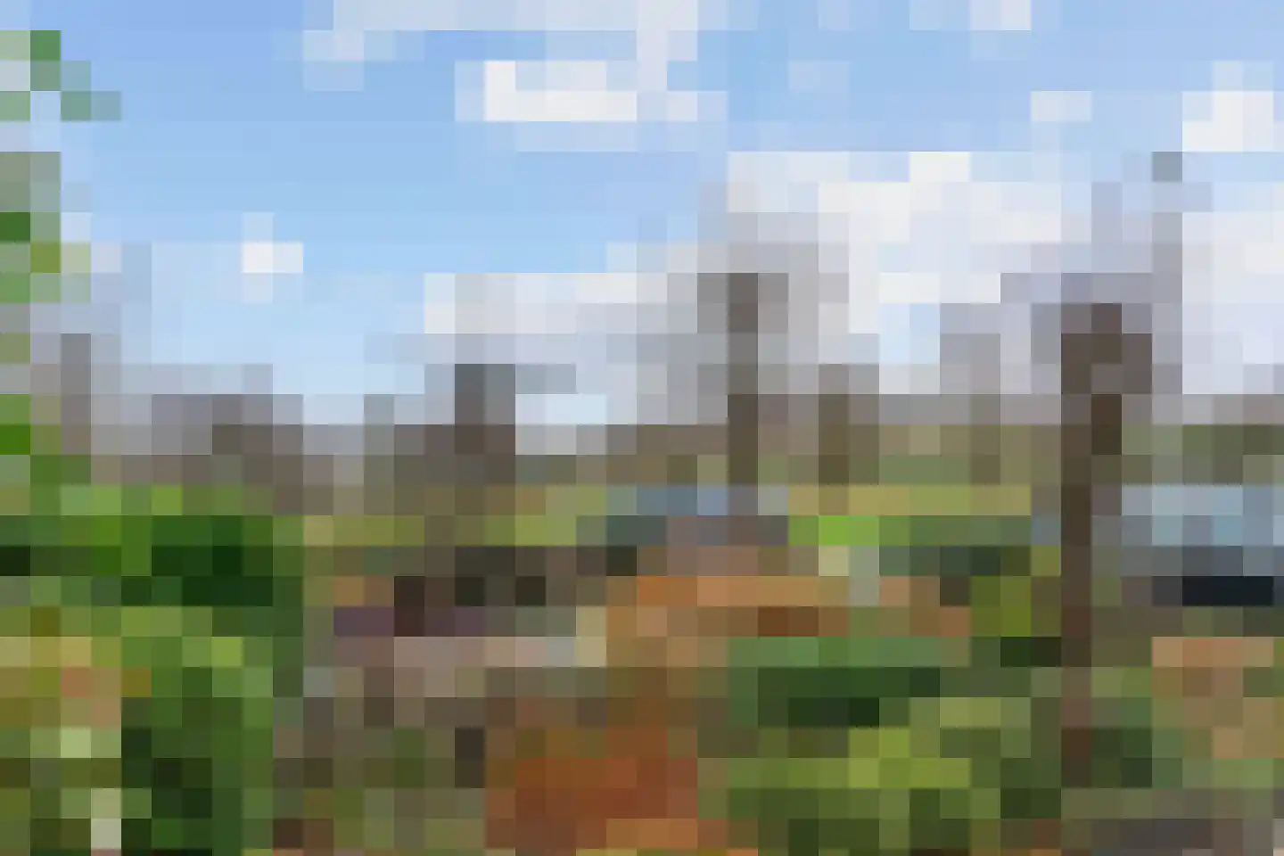 Linnaeuslaan 86 Aalsmeer thumbnail 34