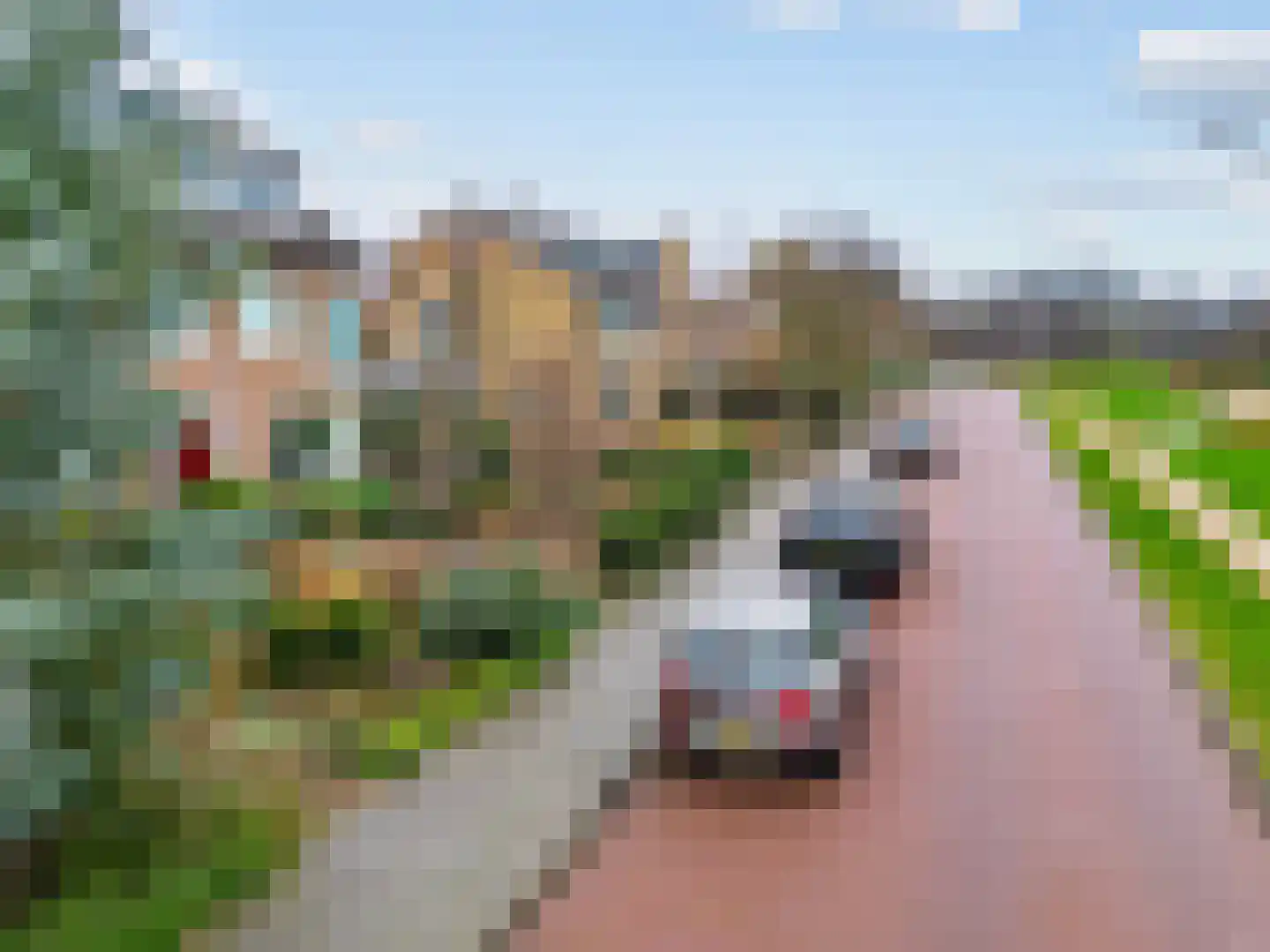 Linnaeuslaan 86 Aalsmeer thumbnail 39