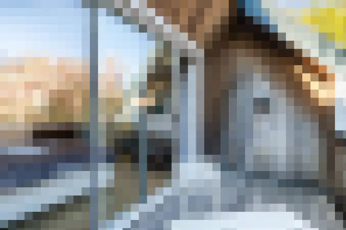 Linnaeuslaan 88 Culemborg thumbnail 30