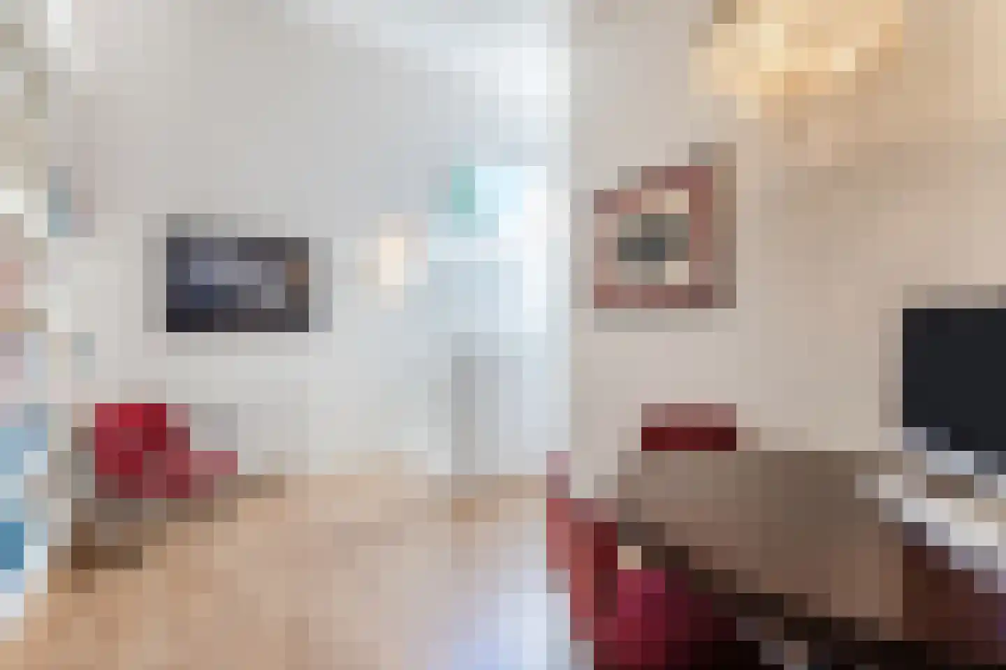 Linnaeuslaan 88 Culemborg thumbnail 37