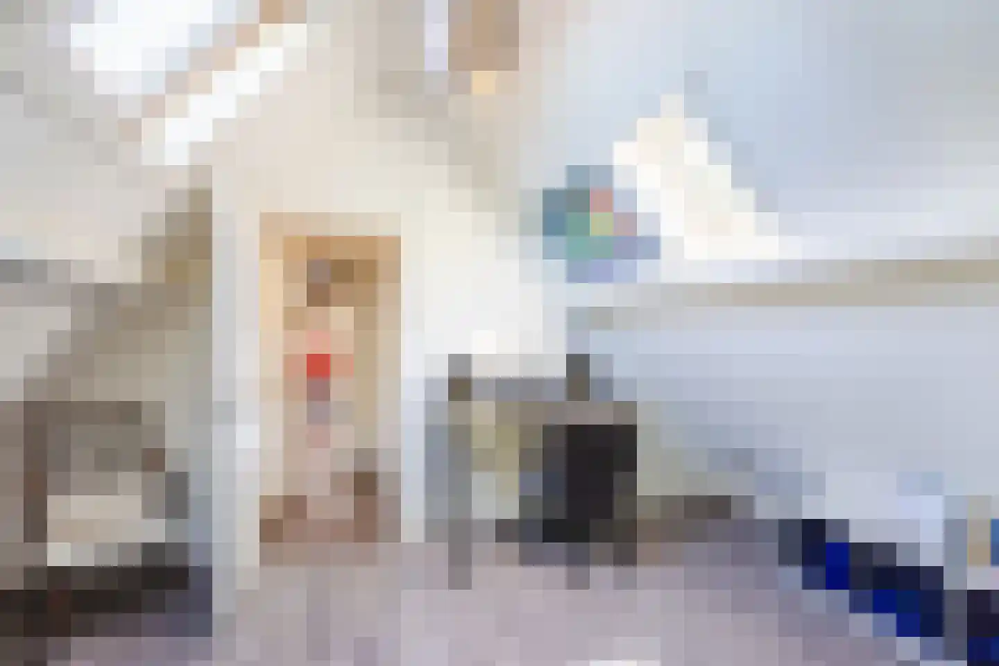 Linnaeuslaan 88 Culemborg thumbnail 45