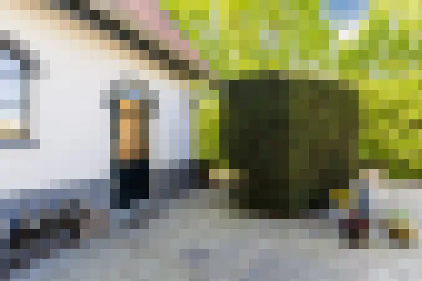 Linnaeuslaan 88 Culemborg thumbnail 49