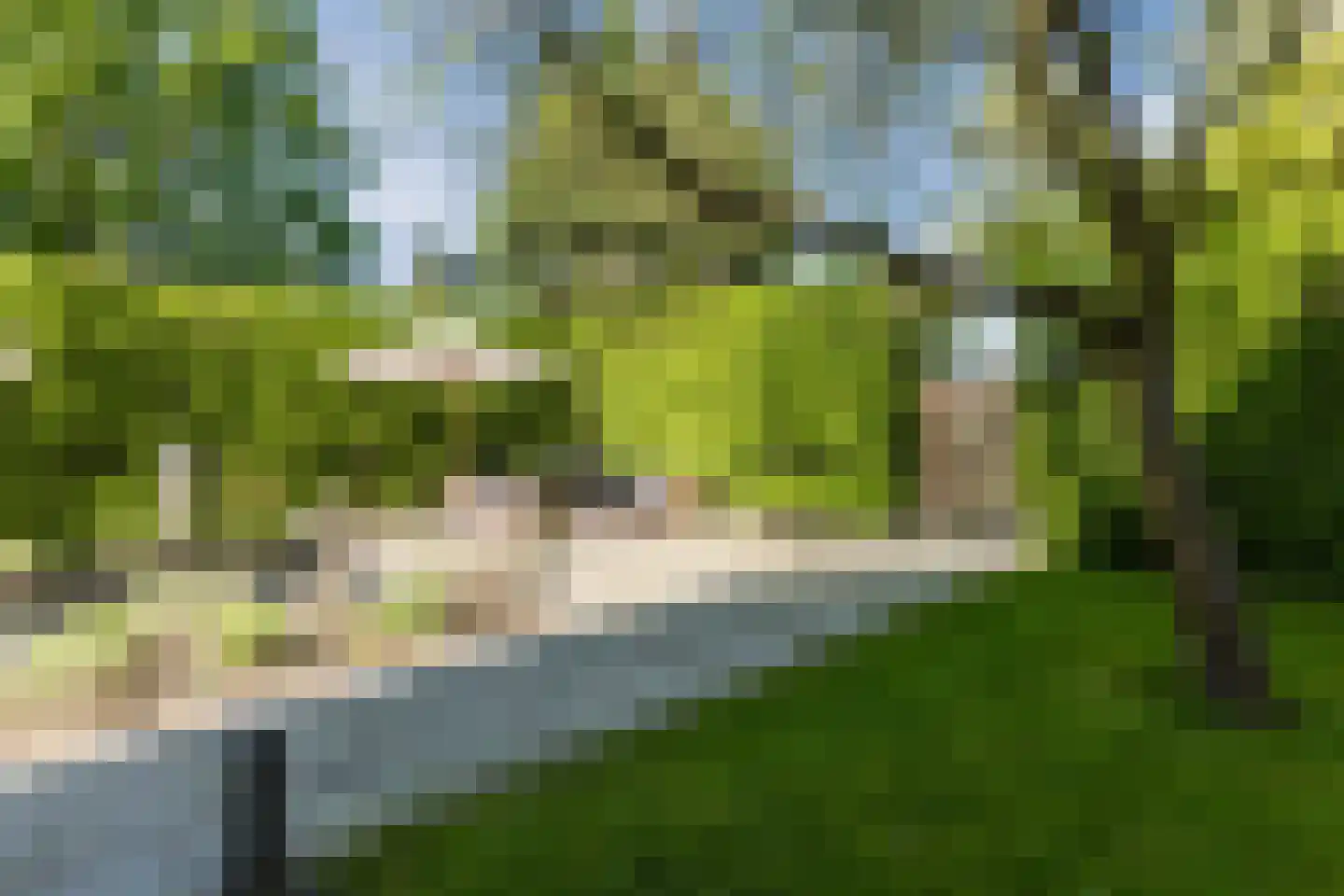 Linnaeuslaan 88 Culemborg thumbnail 52