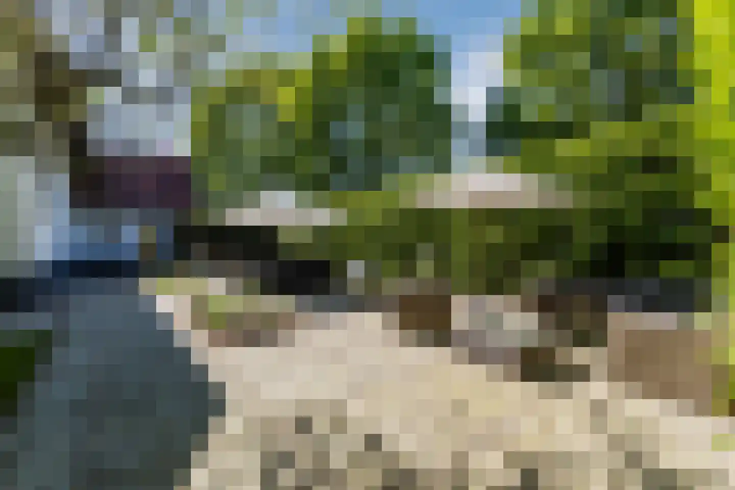 Linnaeuslaan 88 Culemborg thumbnail 53