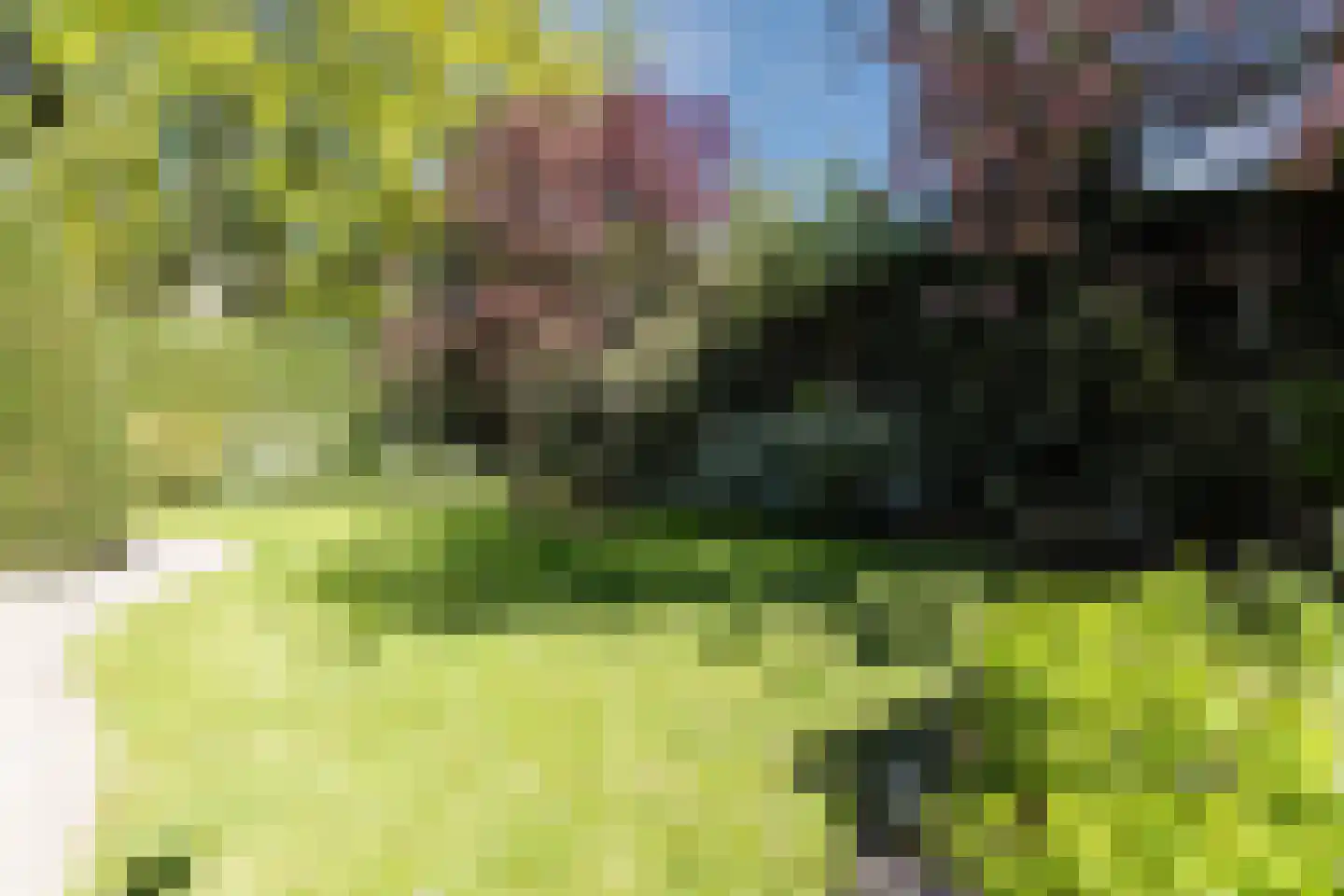 Linnaeuslaan 88 Culemborg thumbnail 54